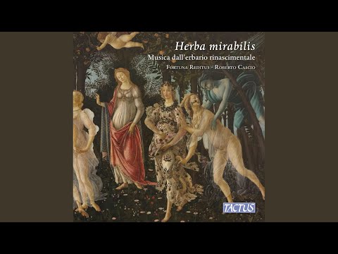 L'ultimo dì di maggio