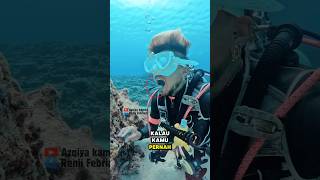 Download lagu Ikan Ini Dijuluki Dokter Gigi Laut mp3 Download lagu Ikan Ini Dijuluki Dokter Gigi Laut mp3