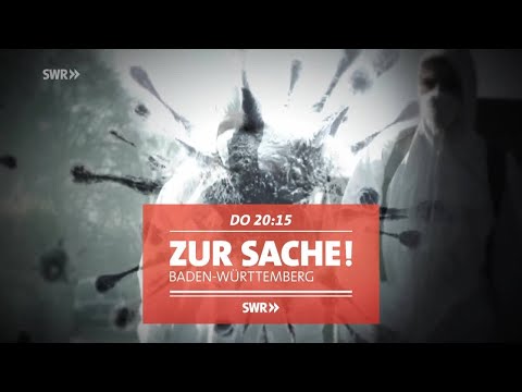 Corona-Strategie: Weniger testen und auf den Impfstoff warten - führt das aus der Krise? / "Zur Sach