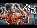 Warum Face Pulls DEINE hintere Schulter NICHT trainieren (RICHTIGE AUSFÜHRUNG)