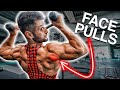 Warum Face Pulls DEINE hintere Schulter NICHT trainieren (RICHTIGE AUSFÜHRUNG)