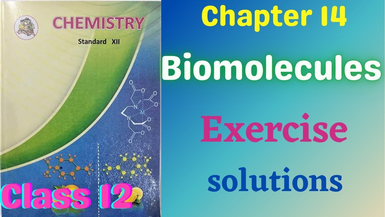 12th Chemistry ch 14 Biomolecules Excercise Solution pdf | HSC Chem Excercise Ch 14 Biomolecules pdf