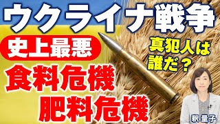 ウクライナ戦争で進行する史上最悪の食料危機。真犯人は誰か？（釈量子）
