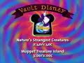 Natures Strangest Creatures 1998 Promo Disney Channel Vault Disney