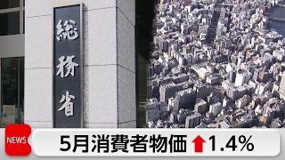 5月物価の消費者物価1.4％上昇　4カ月連続で2％下回る　電気・ガス補助終了で下落率縮小