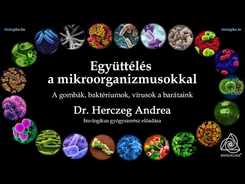 Viszketés a végbélben amely férgek