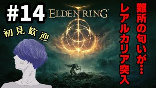 深夜の安眠誘導ELDEN RING（エルデンリング） #14【配信アーカイブ】