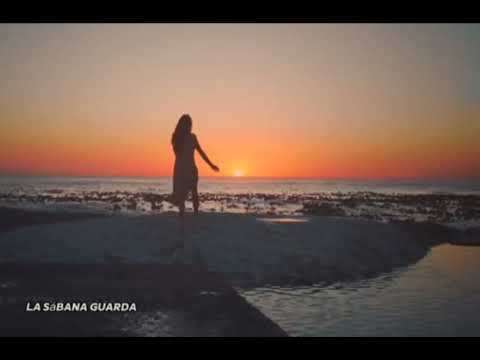 Beele amigos con derechos fanmade