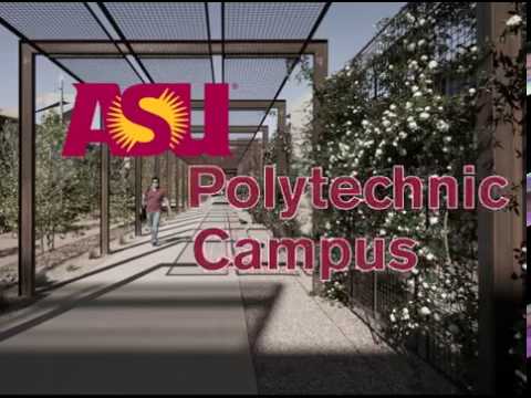 Asu Banner Web