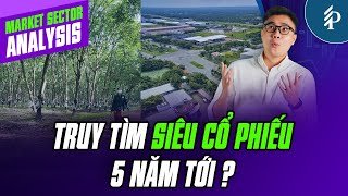 Chuyển đổi đất trồng cao su sang KCN – Triển vọng đầy hứa hẹn trong 5 năm tới