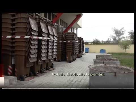 Pubele distribuite la primarii