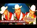 Los Morros Del Norte - Los Pasillos De La Muerte (HD)