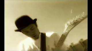 Chancho en piedra - Sinfonía de cuna (4K 6fps)