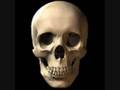 MR BONES / SACRIFICE