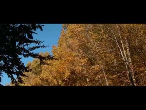 Prezentare Mehedinti - From legend to present (official HD)