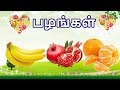 பழங்கள் - தமிழரசி | Learn Fruits Name video for kids and children in Tamil