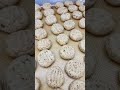 BISCOITO PIZZA AMANTEIGADO QUE DESMACHA NA BOCA