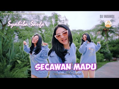 Dj Secawan Madu - Syahiba Saufa (Semula ku mengagumi sikap dan ketulusanmu) (Official M/V)