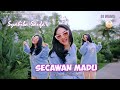 Dj Secawan Madu Syahiba Saufa Official Music Video