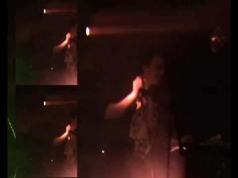 Gunter Adler LIVE at Golden Pudel Club / 2011