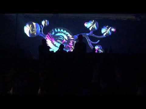 Mirko Loko - The Mission Bucharest