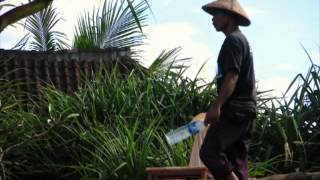 preview picture of video 'Balian Beach, Bali'