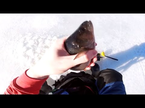 Pilkkireissu lammelle ja järvelle osa 2