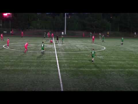 Polonia Wrocław   Forza Wrocław