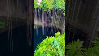Have you ever explored the Mexican jungle? 🌳 🏝 🔥