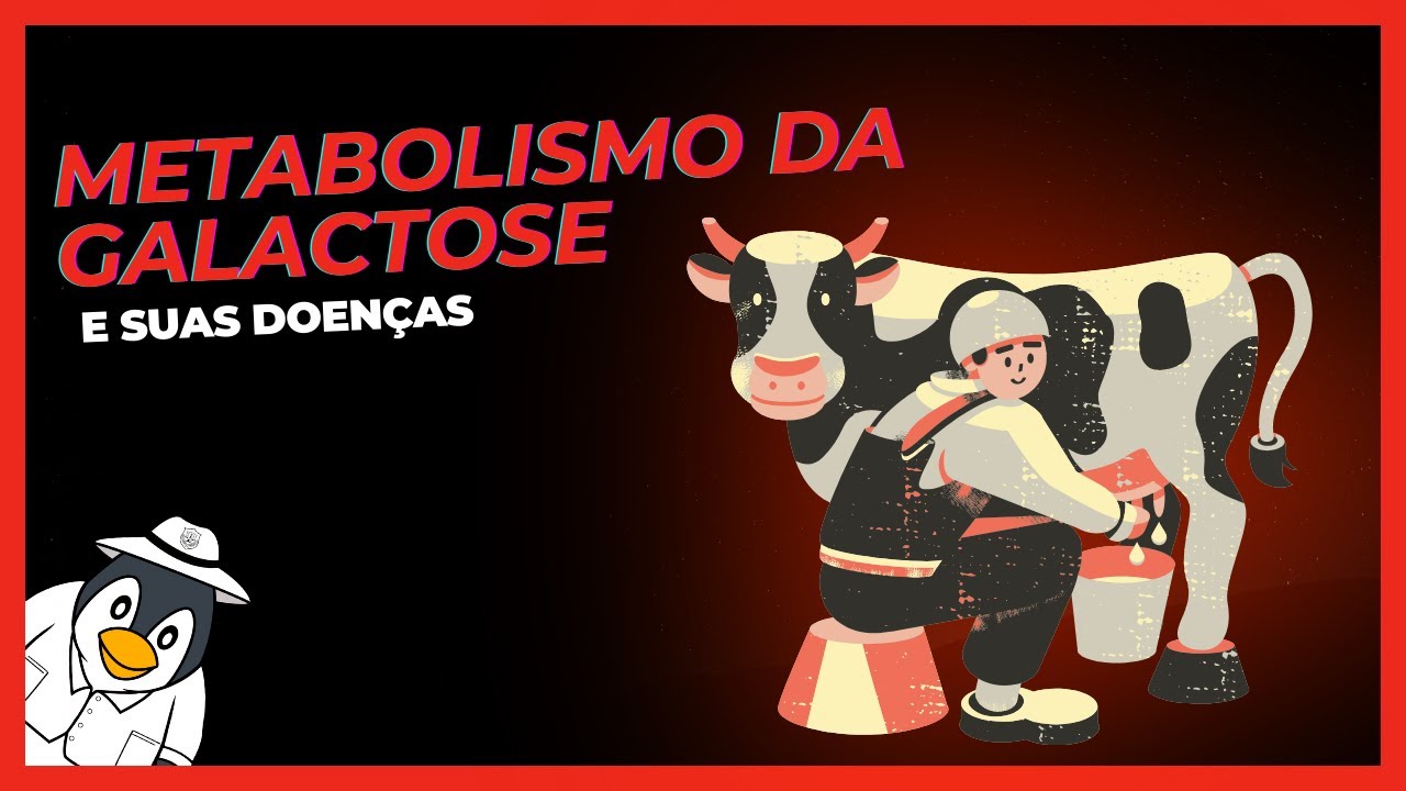 Desvendando o Metabolismo da Galactose: Da Lactose à Doença Hereditária