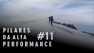 Pilares da Alta Performance #11