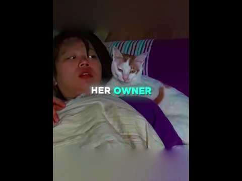 That Cat Was Having NIGHTMARES 😿💜 #shorts