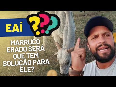 MARRUCO ERADO SERA QUE TEM SOLUÇÃO PRA ELE.?