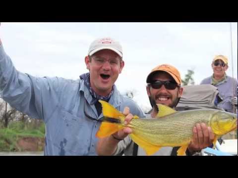 Episode 14: Angling For Gold - Part 2