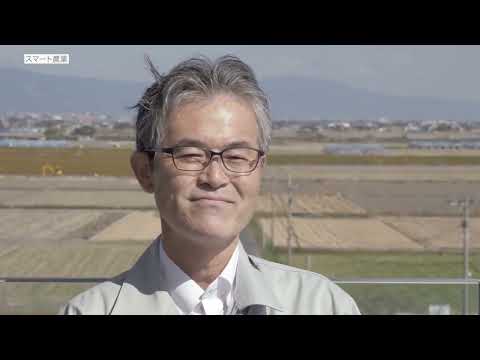 芝生や庭でカタバミと戦うにはどうすればよいですか？有機栽培についての誠実な答え!  庭園