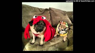 Pugs Are Not Smart Animals - Maria Bamford