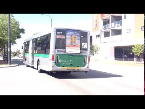 Transperth Mercedes-Benz O405NH at line 42 Lord Street Perth
