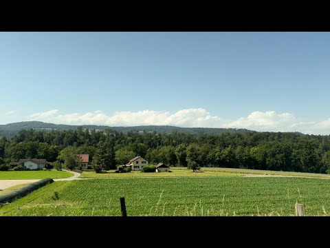 S36 Mitfahrt: Eglisau-Zweideln (19.06.2024)