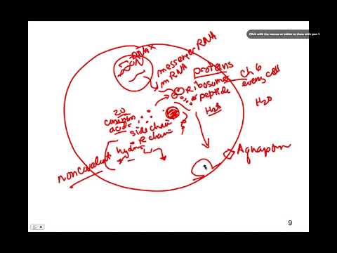 "Class Follow Up", BIO105 Introductory Biology, David Champlin, USM