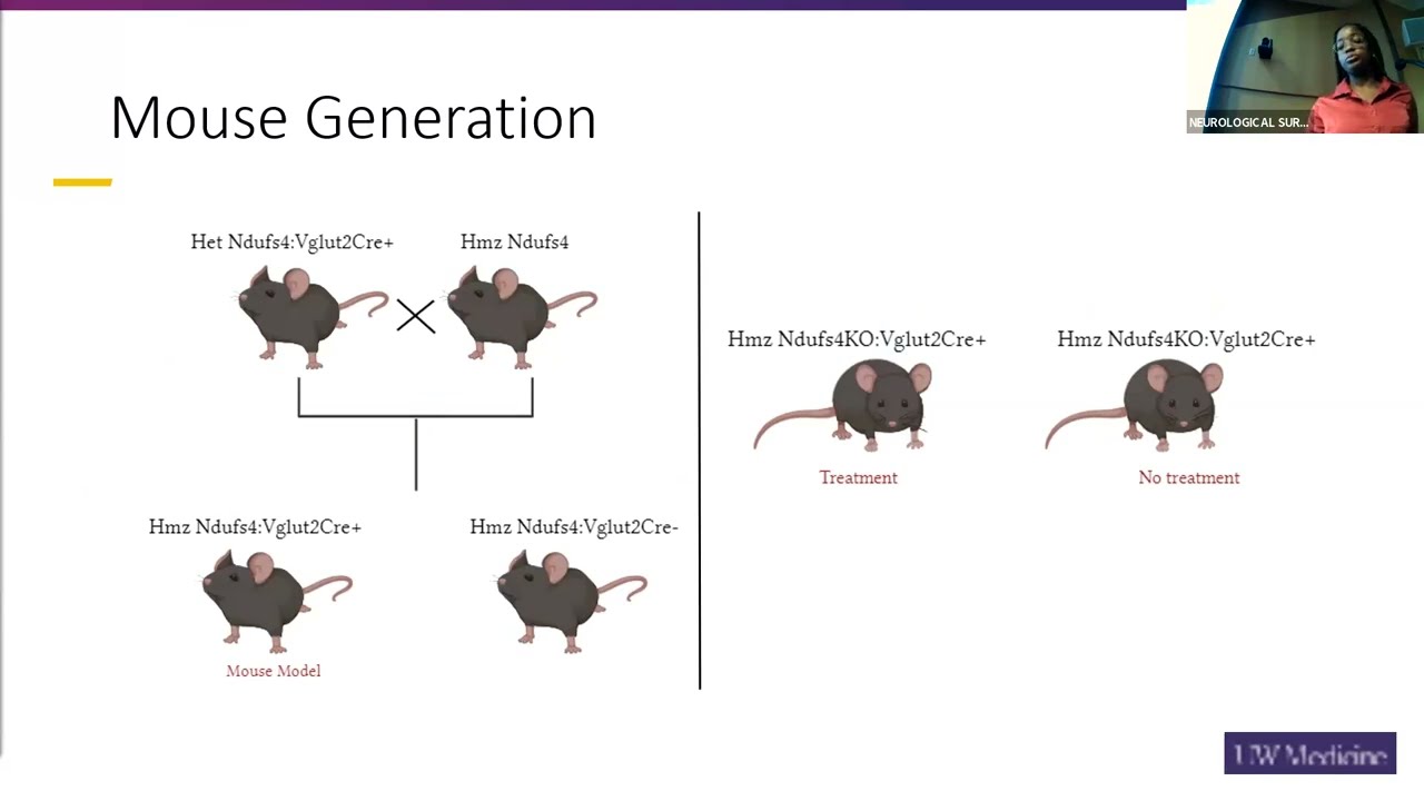8/11/2023: Favour Ebiala (Kalume Lab)