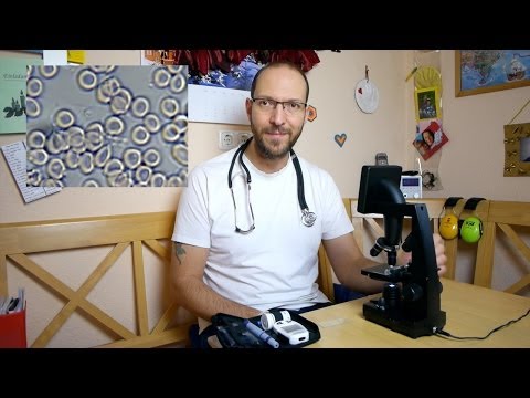 Wenn sie mit Schwangerschafts-Diabetes diagnostiziert Markt gentechnisch hergestellten Insulins