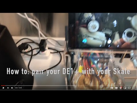 Pairing your Decent with a Skale