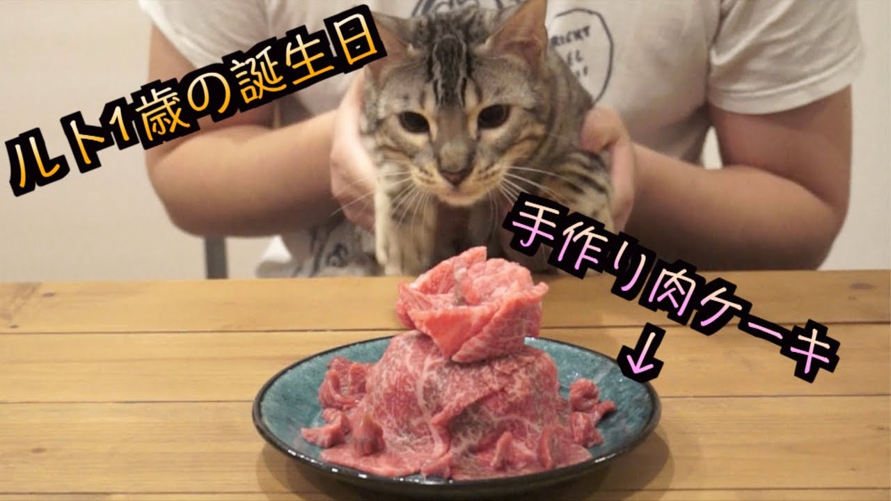 ルトの誕生日なので肉ケーキ作ってみた　2018/2/12