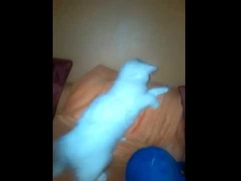 VID_20151115_215322.mp4