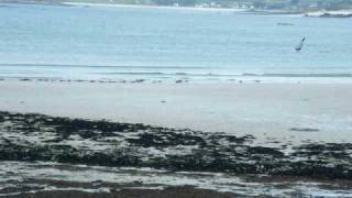 preview picture of video 'LAMPAUL-PLOUDALMEZEAU - la plage des trois moutons à marée basse'
