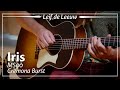 Iris MS00 Cremona Burst played by Leif de Leeuw | Demo