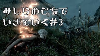 【SkyrimSE】見知らぬ土地で生きていく♯3【ゆっくり実況】