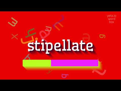STIPELLATE - HOW TO PRONOUNCE IT? #stipellate