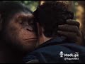 Funny Videos Funny Monkey Dubbing Clip