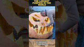 Opening A Giant Pumpkin For Halloween